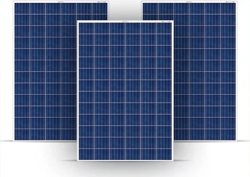 Bluebird 1 kW Solar Panel